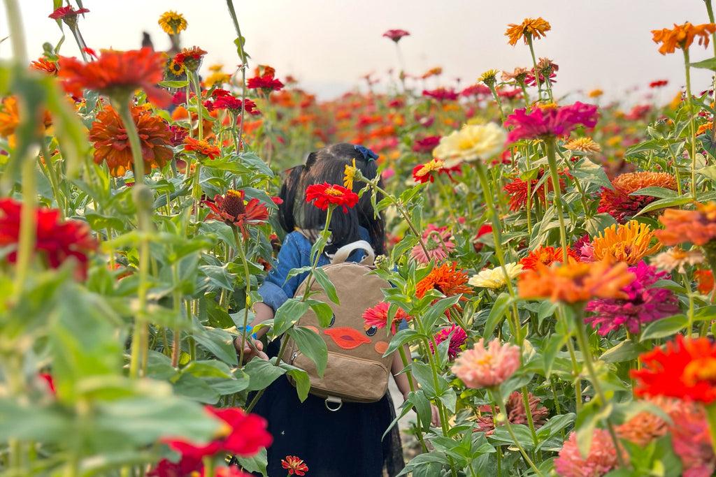 Toddler wearing Duck Duck Backpack walking through a field of flowers